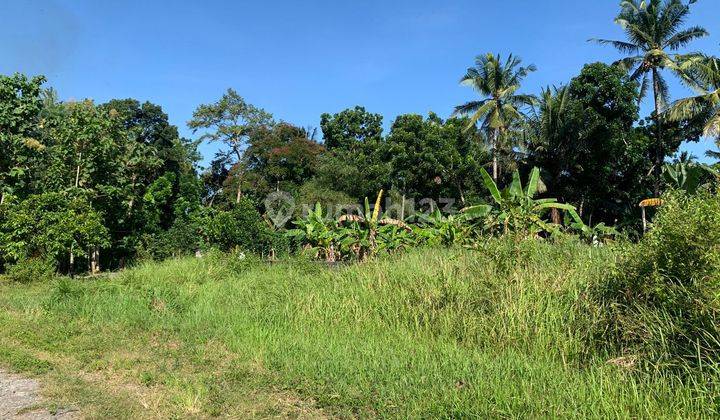 Tanah Kavling Dijual Selatan Uny Kampus Wates Kavling Rapi Berhadapan  2