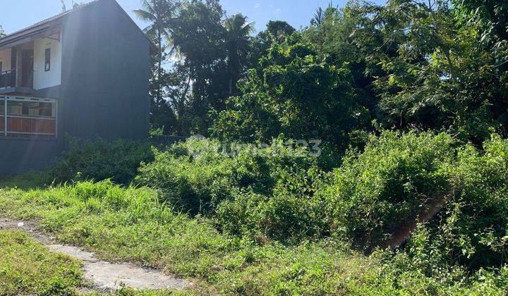 Tanah Kavling Dijual Selatan Uny Kampus Wates Kavling Rapi Berhadapan  5