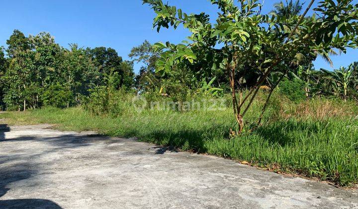 Tanah Kavling Dijual Selatan Uny Kampus Wates Kavling Rapi Berhadapan  6