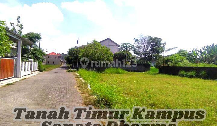 Tanah Dijual Jogja Dekat Kampus Sanata Dharma Cocok Bangun Kost 1