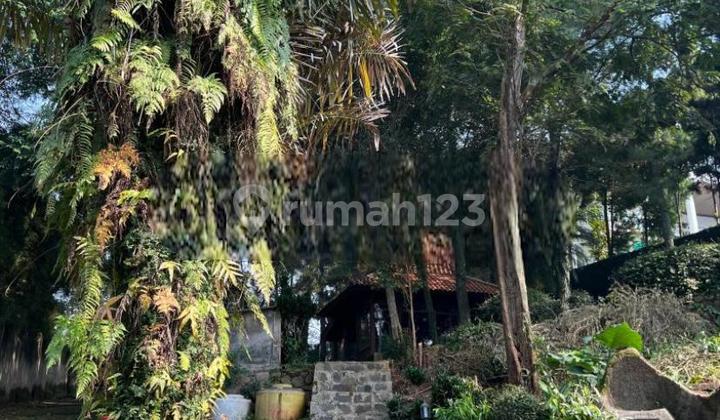 Tanah Murah Dan Matang Bonus Villa Di Cigadung Bandung Kota SHM Tanah Murah Dan Matang Bonus Villa Di Cigadung Bandung Kota SHM