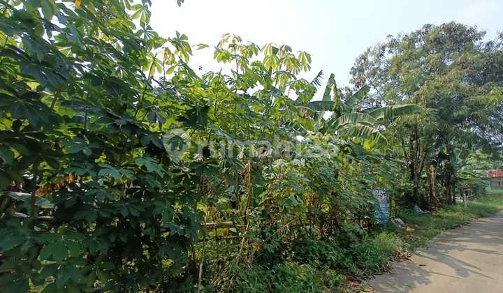 For Sale Land Plot Near Ciputat Pamulang Toll Gate For Sale Land Plot Near Ciputat Pamulang Toll Gate