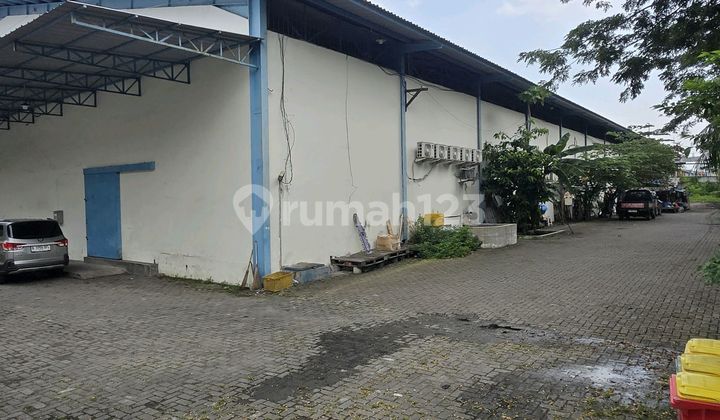 Gudang Sunter Hitung Harga Tanah Dibawah NJOP Gudang Sunter Hitung Harga Tanah Dibawah NJOP