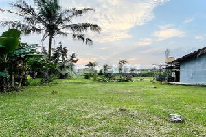 Tanah Datar Hadap Timur Bebas Banjir Siap Bangun Di Pamulang