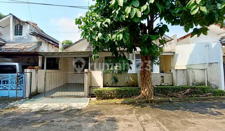 Rumah Minimalis Dengan Backyard Siap Huni Di Bintaro Sektor 5