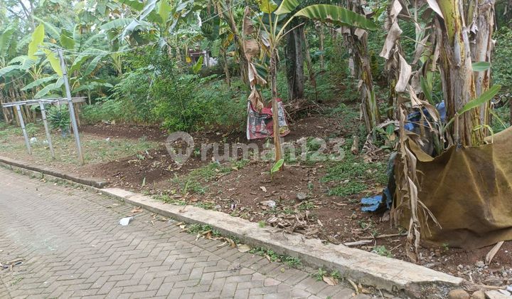 Tanah Luas Yg Cocok Untuk Gudang 1