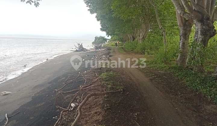 Dijual Tanah Pinggir Pantai  1
