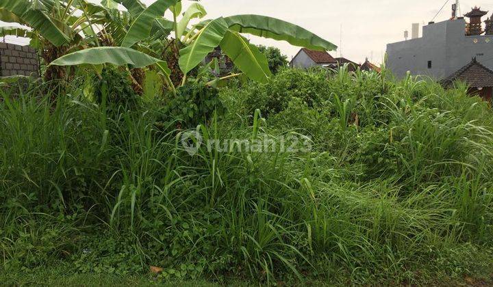 Dijual Tanah di Denpasar, Bali