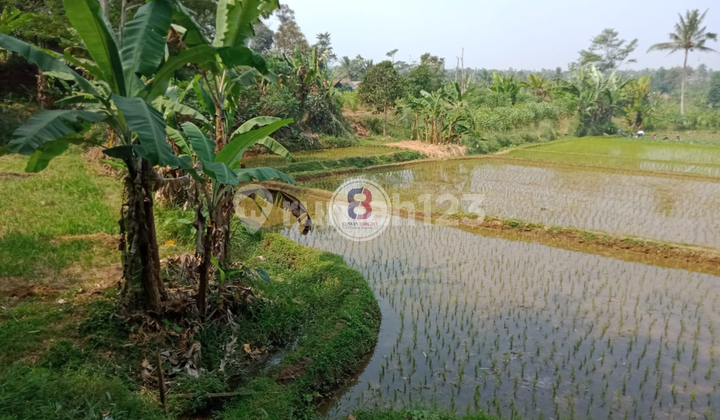 Dijual Lahan Murah di Bogor Dekat Wisata Cocok untuk Investasi