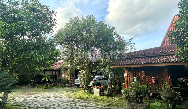 Homestay Joglo di Borobudur Jogjakarta Cocok untuk Investasi