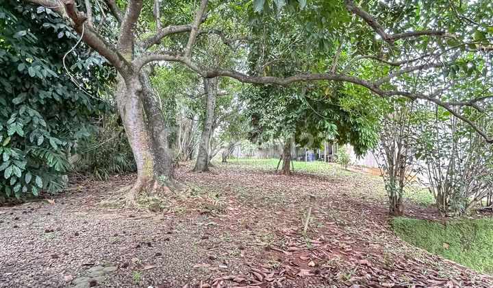 Rumah Hitung Tanah di Bintaro Jaya Sektor 2 Dalam Perumahan Rumah Hitung Tanah di Bintaro Jaya Sektor 2 Dalam Perumahan