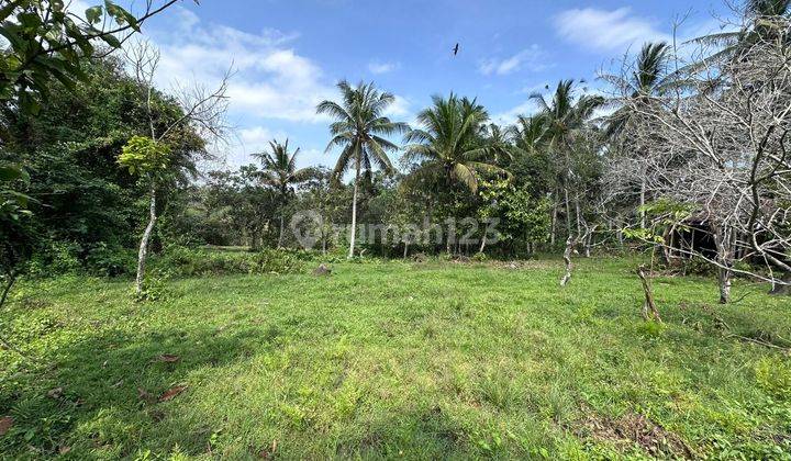 Land with Strategic Location, Good for Investment 2