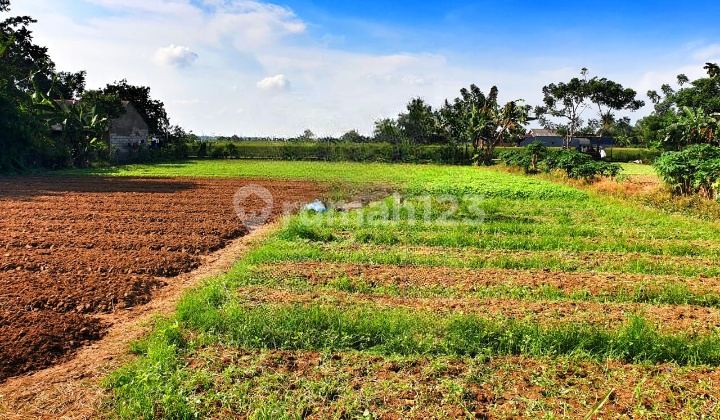Kavling di Babelan, Bekasi, Pinggir Jalan, SHM, Bebas Banjir