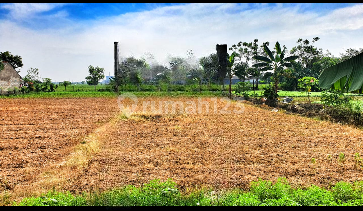 Kavling di Babelan, Bekasi, Pinggir Jalan, SHM, Bebas Banjir