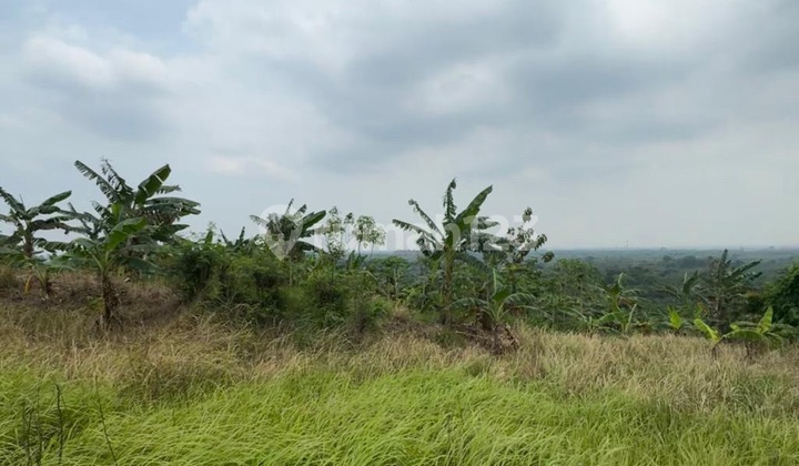 Dijual Tanah di Daerah Tembalang Semarang 2