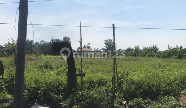 Dijual Tanah Kering Di Daerah Kaliwungu Kendal Dijual Tanah Kering Di Daerah Kaliwungu Kendal