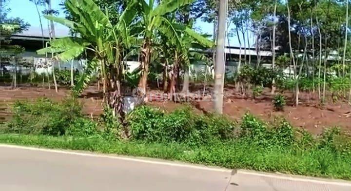 Dijual Tanah lokasi Bagus Singorojo Kendal Tanah Ngantong 4.740 M2 SHM 2