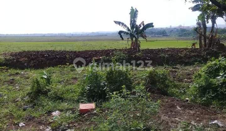 Dijual Tanah 170ha Di Zona Industri Daerah Kaliwungu Kendal Est Dijual Tanah 170ha Di Zona Industri Daerah Kaliwungu Kendal Est