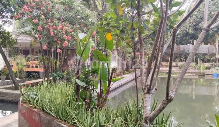 Tanah Empang Dan Bangunannya