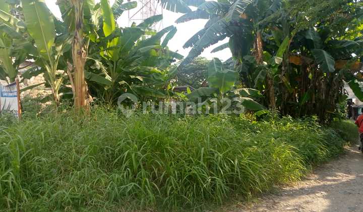 Dijual Tanah Kavling di Pondok Bambu, Duren Sawit Jakarta Timur Dijual Tanah Kavling di Pondok Bambu, Duren Sawit Jakarta Timur