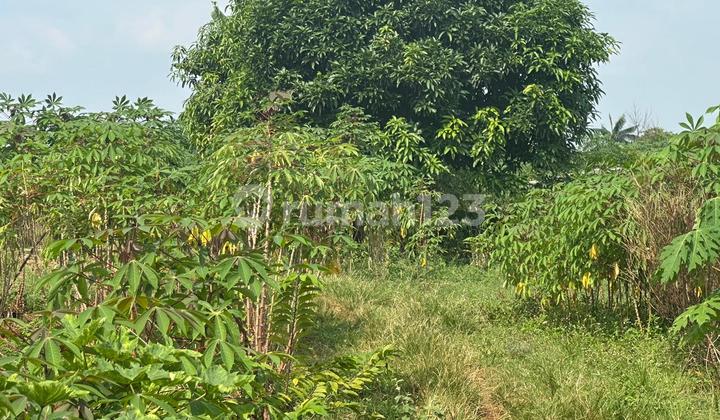 Dijual lahan (tanah) di Karawang Timur Dijual lahan (tanah) di Karawang Timur