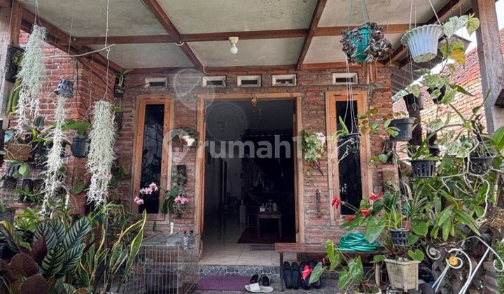 V1 Dijual Rumah 2 Kamar Tidur Privasi di Jl Kasiman Kota Batu