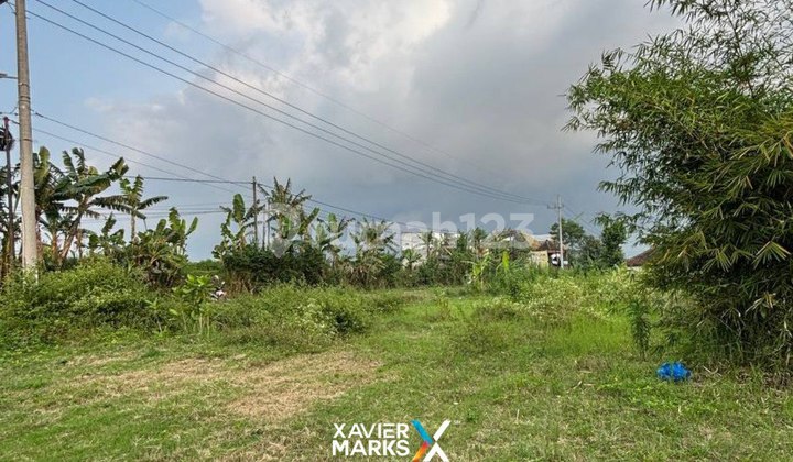 V1 Dijual Tanah Luas di Tawangargo Karangploso Malang