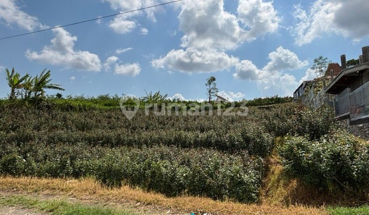 V1 Jual Cepat Tanah Luas 1684 m2 di Jalan Raya Pandanrejo Batu