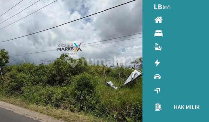 For Sale: Affordable Land Plots in Landungsari Dau Malang with Mountain View