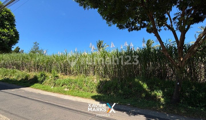 V1 Land for Sale Spacious Strategic Hook in Dampit, South Malang V1 Land for Sale Spacious Strategic Hook in Dampit, South Malang