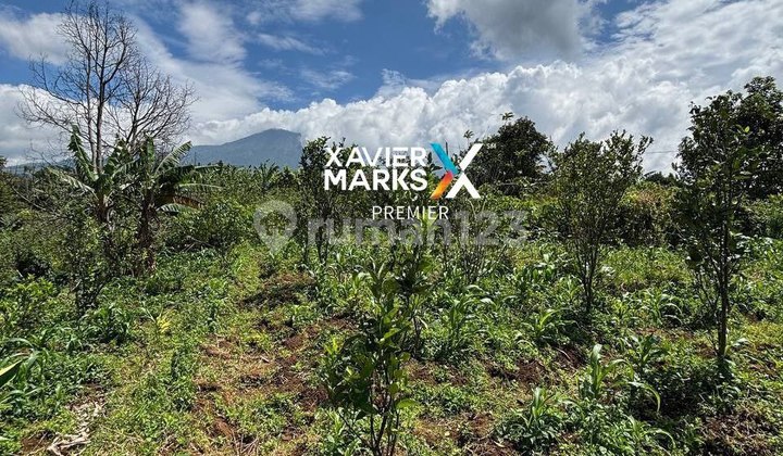 V1 Dijual Tanah Luas untuk Segala Macam Bisnis di Bulukerto Batu