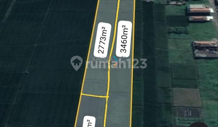 Tanah Luas Strategis di Sidodadi Pakisaji Malang 2