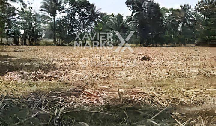 Lahan Siap Bangun Luas Bakalan Bululawang, Malang Bp475  1