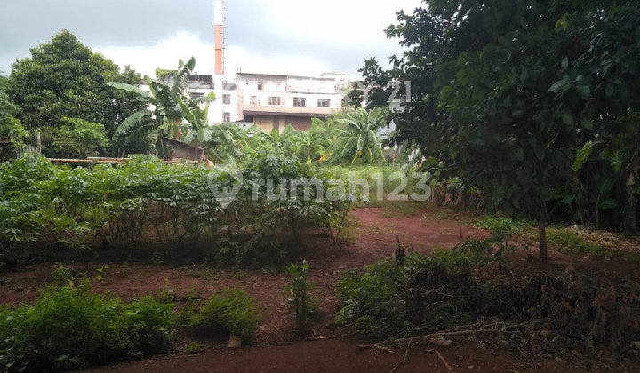 For Rent: Good Warehouse Ready to Use in Sunter For Rent: Good Warehouse Ready to Use in Sunter