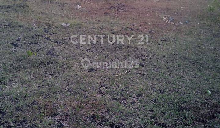 Dijual Tanah Kavling Di Babau Kupang Timur NTT 2