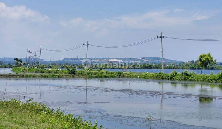 Dijual Lahan Tambak Produktif Di Ujungpangkah Gresik 2