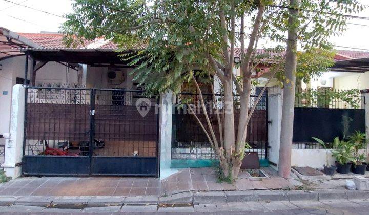 Dijual Rumah Pakuwon City Griya Asri Siap Huni 1