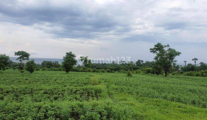 For Sale Bali Resort Land with Ocean View Located in Tulamben, Kubu, Karang Asem, Bali 1