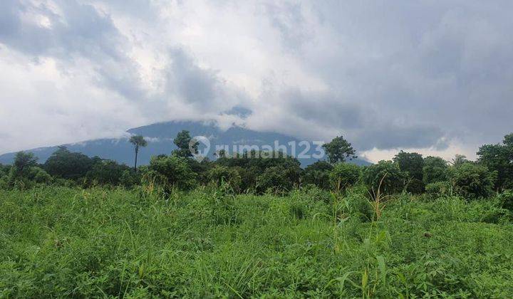  Dijual Tanah Bali Lokasi di Tulamben, Karang Asem, Bali Salah Satu Spot Diving Terbaik di Dunia  1