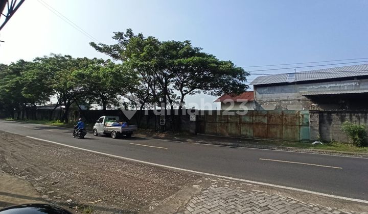 Gudang Candi Mulyo Brigjen Kretarto Jombang  1