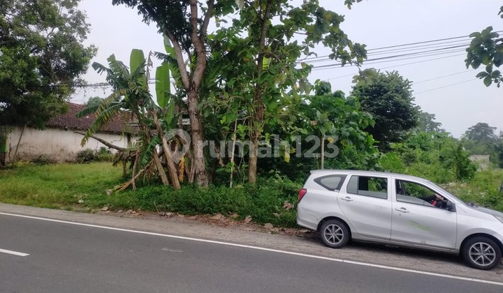 For Rent Strategic Land 3500 Square Meters on the Side of Cangkringan Road, Kalasan - Suitable for Various Businesses