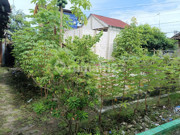 Strategic Shophouse in Wates City Center Strategic Investment on the Main Route of Kulon Progo 2