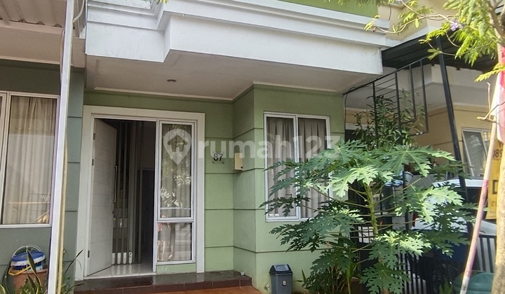 Disewakan Rumah Gading Serpong. Cluster Amarilo Disewakan Rumah Gading Serpong. Cluster Amarilo