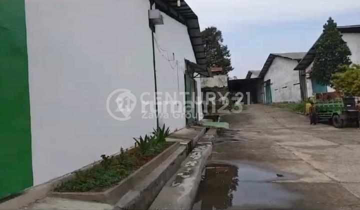 Disewakan Gudang Di Zona Industri Bitung Tangerang Banten Disewakan Gudang Di Zona Industri Bitung Tangerang Banten