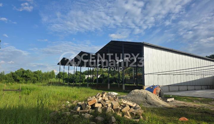 Disewakan Gudang Baru Di Tigaraksa Tangerang Banten