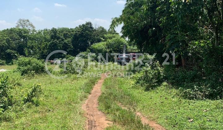 Quick Sale of Land in Strategic Location at Cekeusal, Serang, Banten