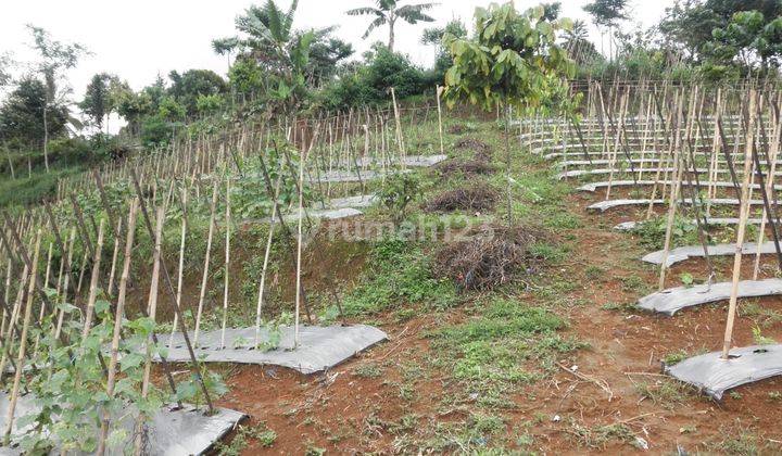 TANAH KAVLING SUKABUMI BISA KOMERSIL 2