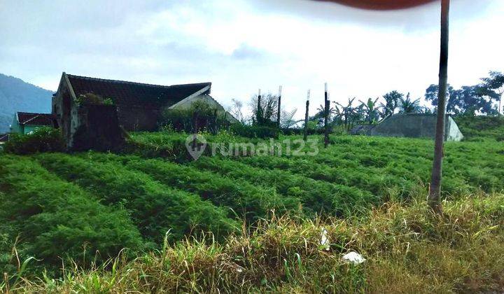 TANAH KAVLING PUNCAK CIPANAS JAWA BARAT VILLA BUKIT HARMONI 1