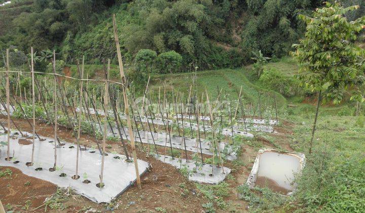 TANAH SUKABUMI KAVLING KEBUN KOMERSIL USAHA di Kota Sukabumi Tanah 1