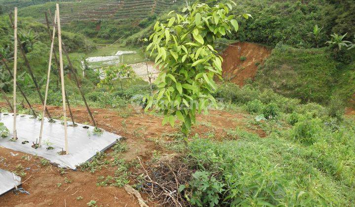 TANAH SUKABUMI KAVLING KEBUN KOMERSIL USAHA di Kota Sukabumi Tanah 2